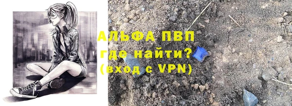 гидра Алексин
