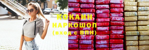 гидра Алексин
