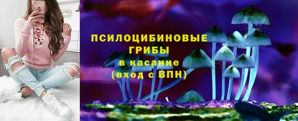 ПСИЛОЦИБИНОВЫЕ ГРИБЫ Армянск