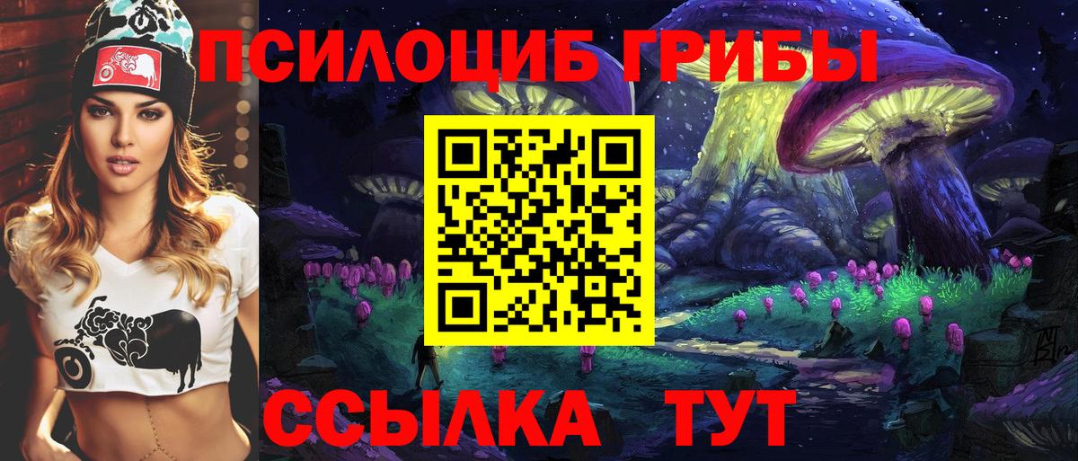 Галлюциногенные грибы Psilocybine cubensis Светлоград