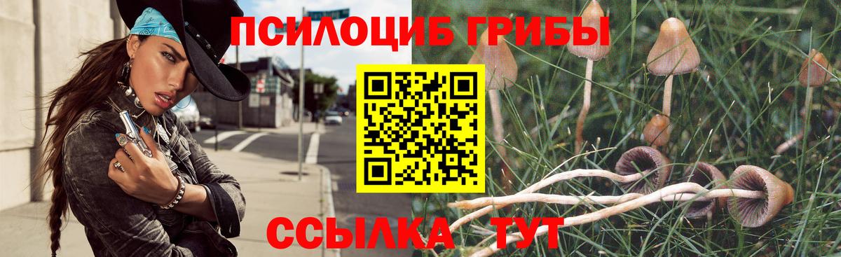 Галлюциногенные грибы мухоморы  Вход с VPN  Светлоград 